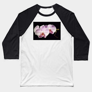 Orchids Baseball T-Shirt